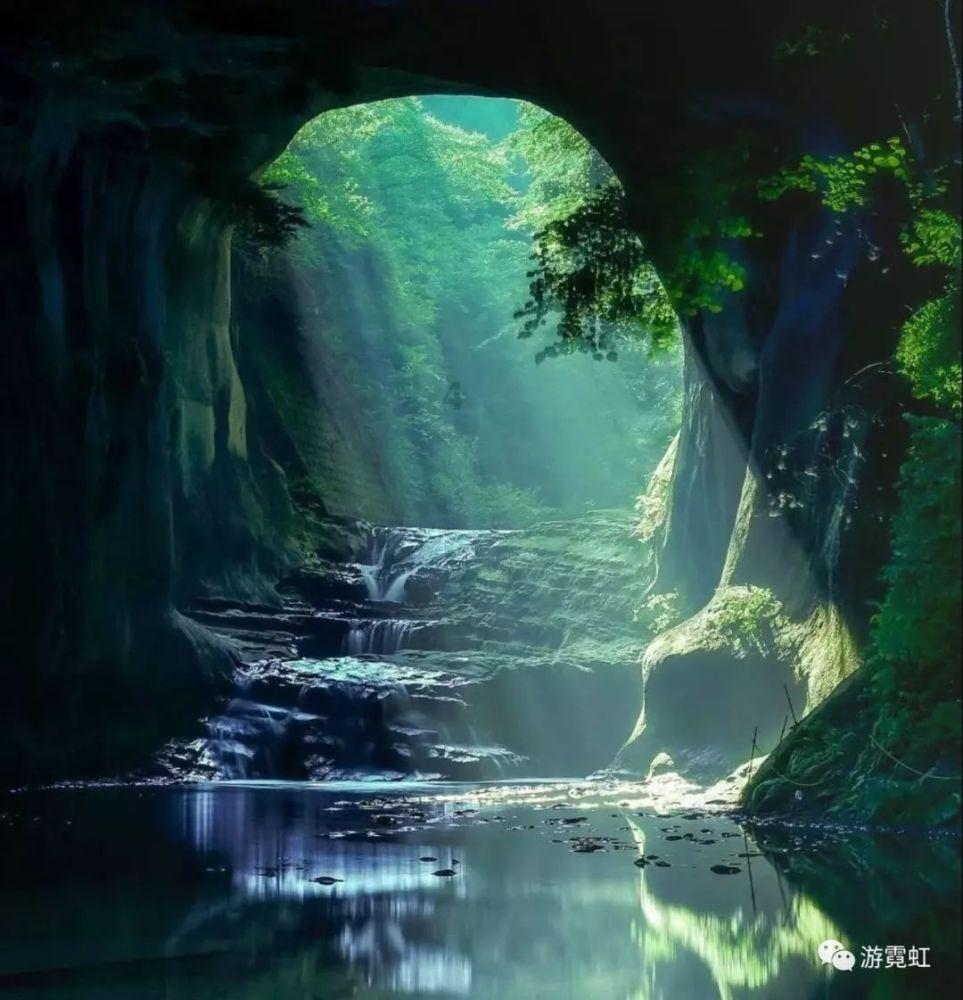 高倍显微镜可以通过照片检查吗？